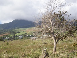 St Kitts Train Ride9